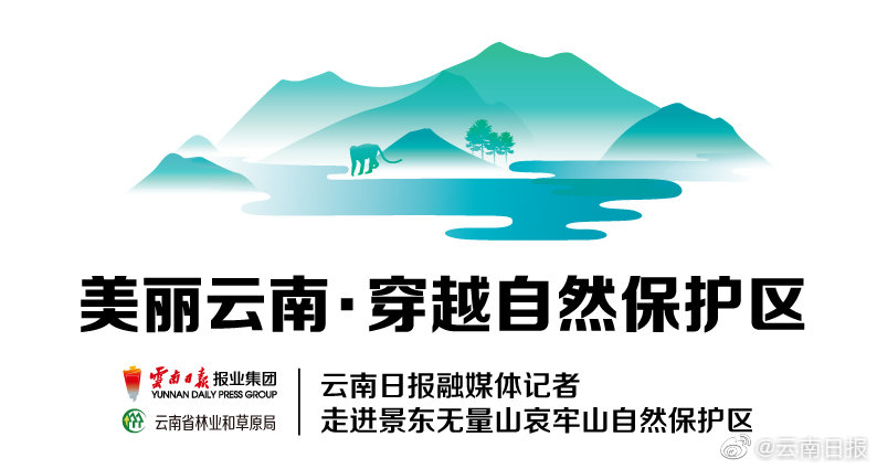 芜湖汉爵阳明鸡_分享忠实,芜湖汉爵阳明大酒店怎么样