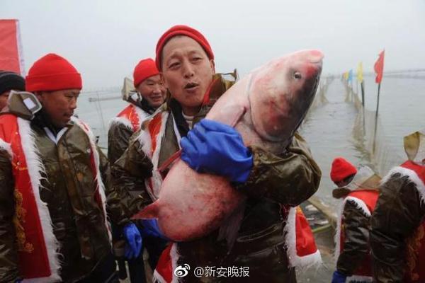 玉泉街晚上是干嘛的—翻译—宾朋迎门,玉泉街怎么样
