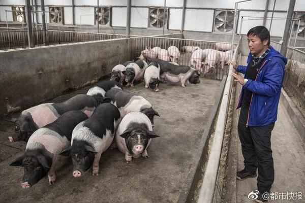 衡阳品茶自带工作室有哪些@由出漏洞,衡阳品茶彩客网app的联系方式