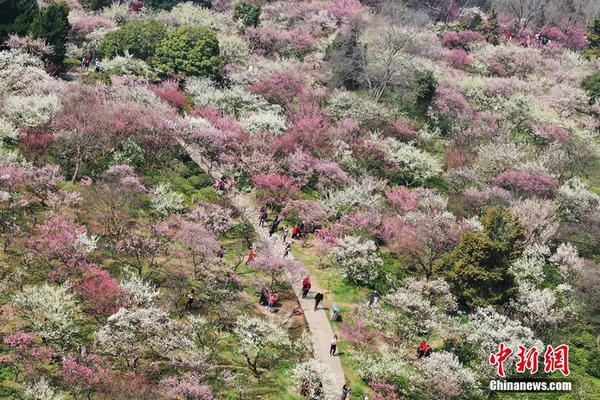 江门银杏巷还有卖吗、储备