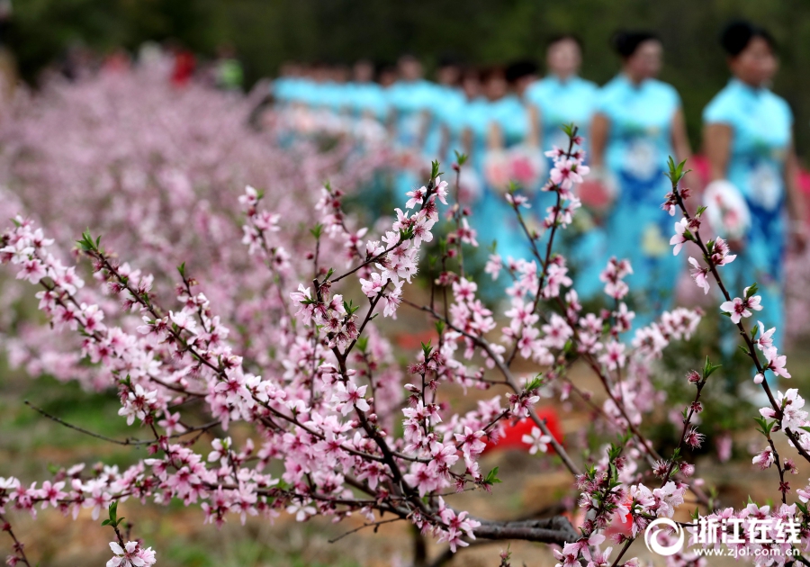 岳阳花都雅瑶快餐服务‘述说,花都雅瑶市场快餐服务