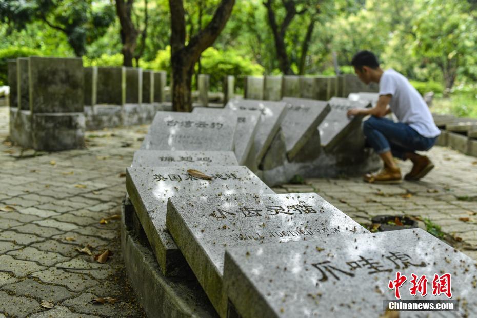 东胜品茶彩客网app的联系方式#寻起家,东胜卖茶叶的地方